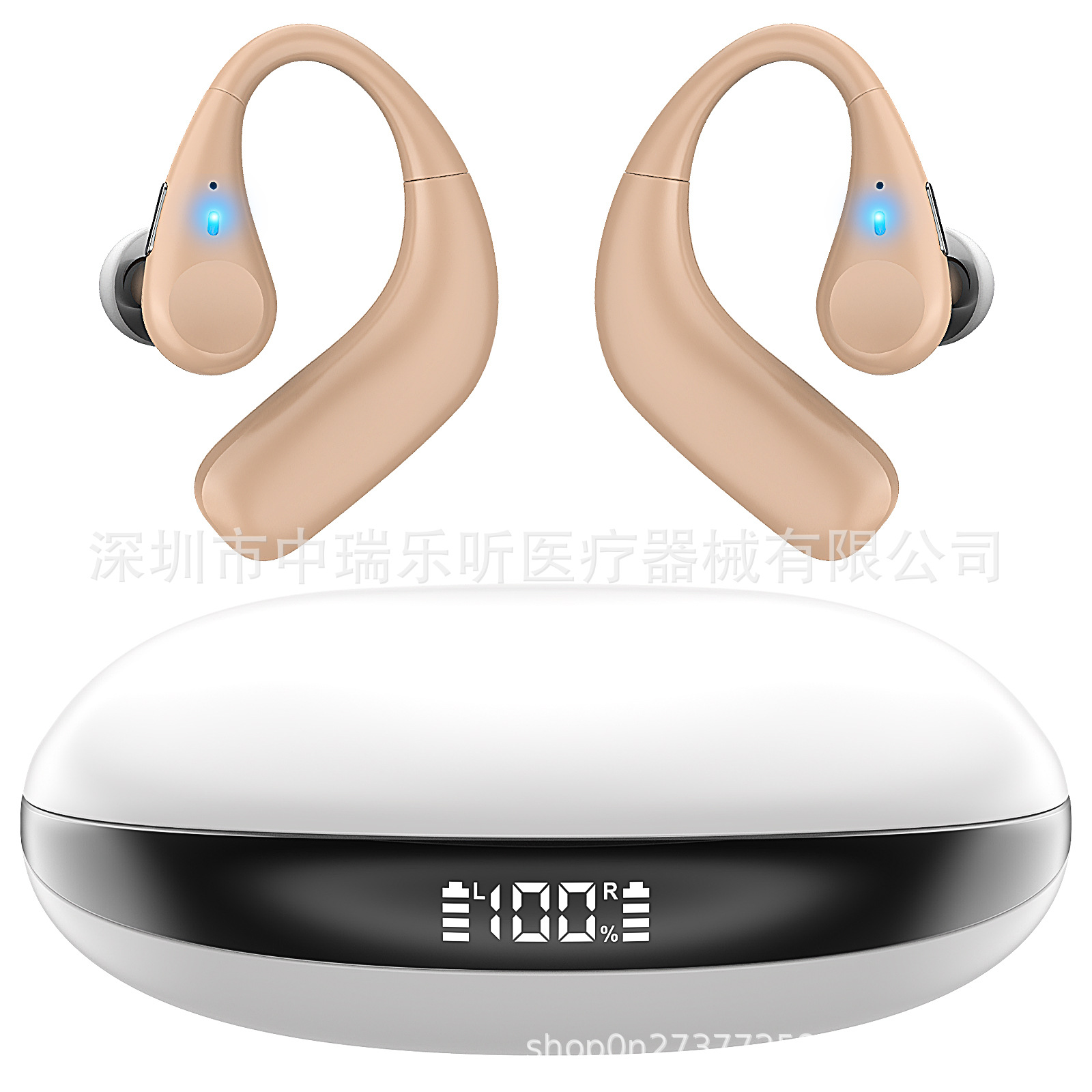 ZR-H718A Digital Rechargeable Hearing Aid